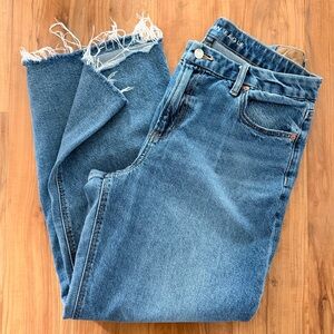 American Eagle Baggy Stovepipe Curvy Jeans Size 12R